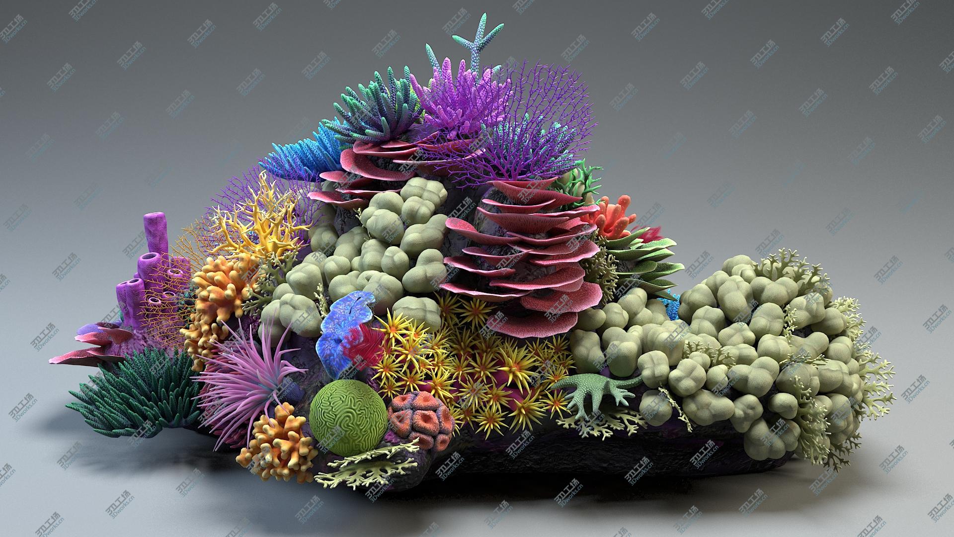 images/goods_img/202104022/Coral Reef 01 3D/3.jpg